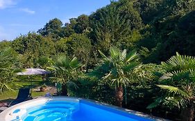 Privates Ferienhaus mit Pool&Whirlpool in Bad Dürkheim